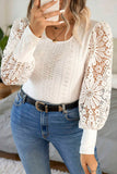 Apricot Contrast Floral Guipure Lace Lantern Sleeve U Neck Plus Size Blouse