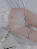 Pure desire lace panties passion female open file temptation sexy panties